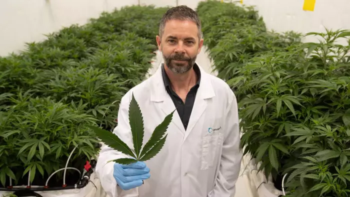 Cannasouth CEO Mark Lucas resigns ahead of creditor meeting