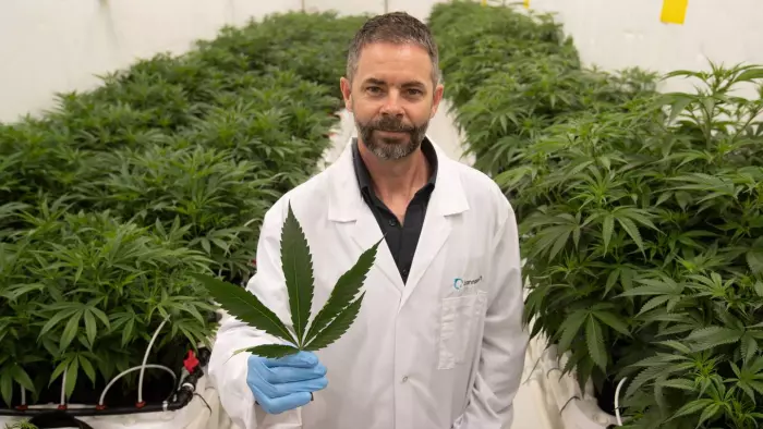 Receiver says Cannasouth heading for liquidation, owes $2.5m to noteholders