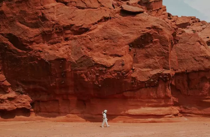 If you lived on Mars, would you invest in F&P Healthcare?