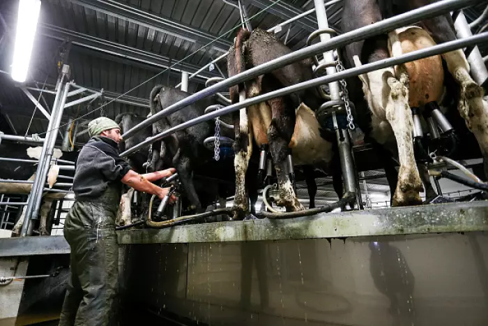MARKET OPEN:  China demand for dairy still strong