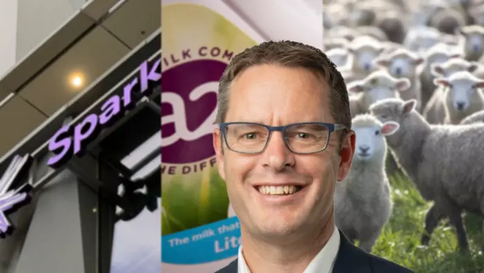 Fletcher, Alliance, Spark, Fonterra, a2 Milk: a harbinger of M&A activity in 2025