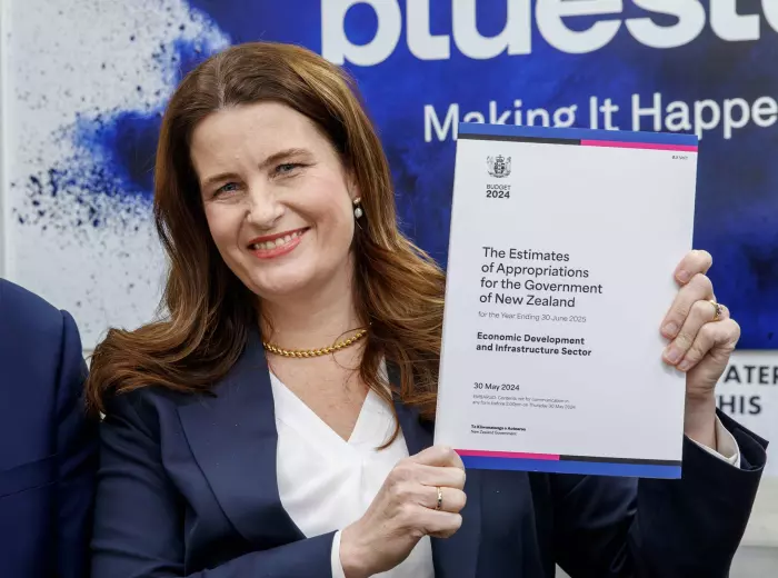Budget 2025: Banking on a boost from investment