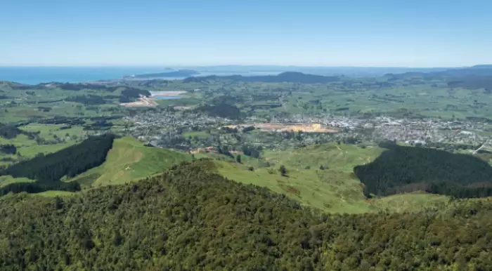Fast-track decision backs OceanaGold plan to mine under Coromandel Forest Park