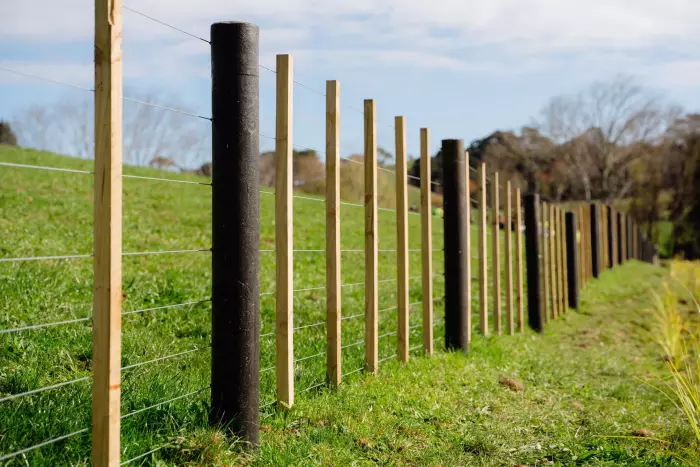 Peanut butter and fence posts part of Kiwibank's sustainable finance drive