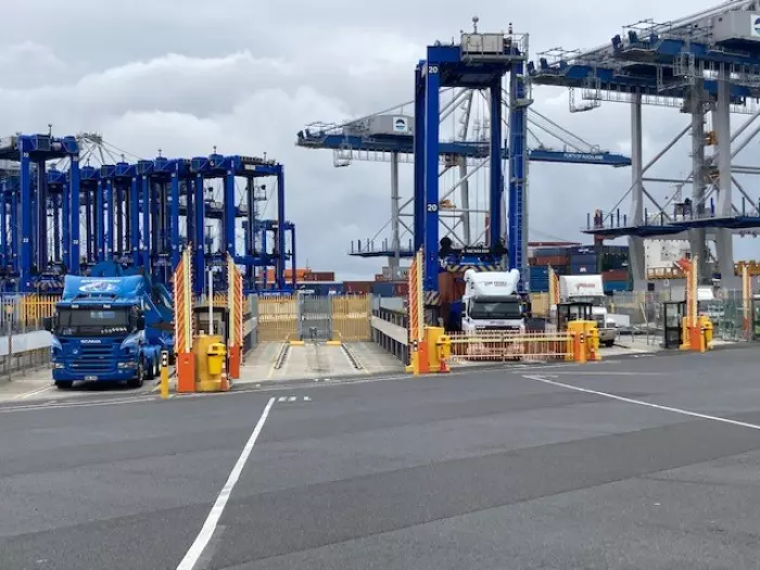 Ports of Auckland 'shuts down' automation
