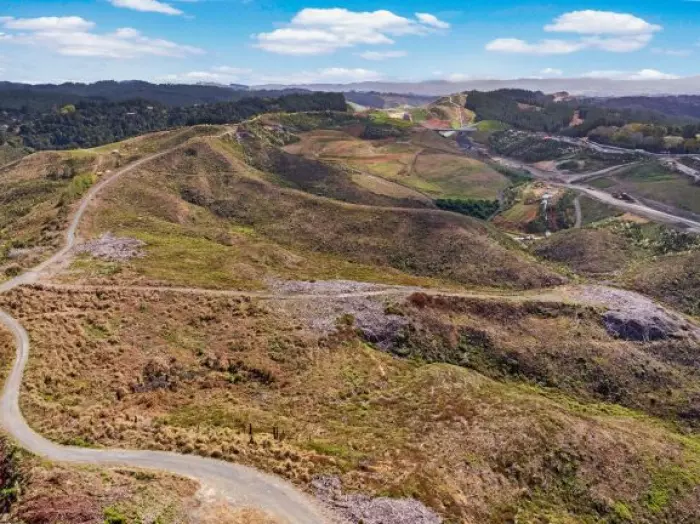 Shanghai billionaire to sell Puhoi forest estate