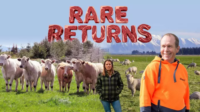 Rare Returns: the state of NZ’s red meat sector