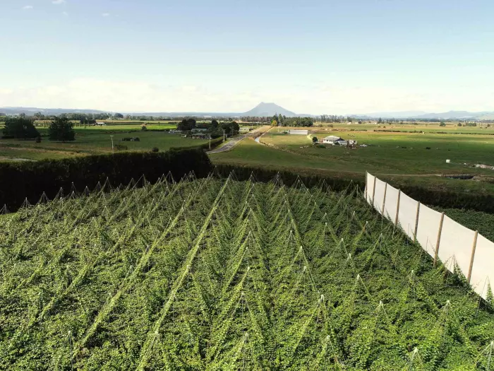 MyFarm KiwiFruit Fund launches $35 million capital raise