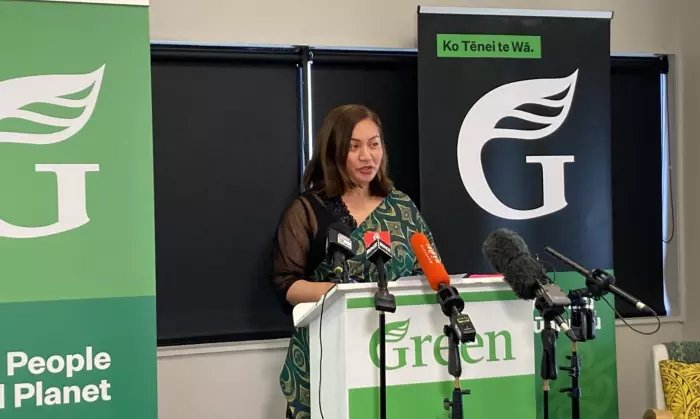 Green party: returning land to Māori is the right thing to do