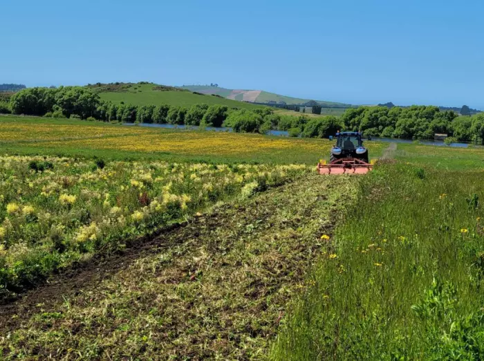 Troubled farm takes councillor to tribunal for digging up vegetable patch