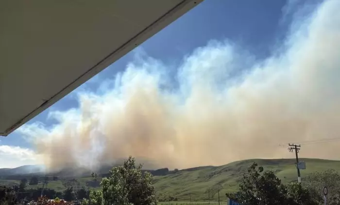 Massive Pōrangahau fire largely contained after spreading to pines planned for Ikea furniture