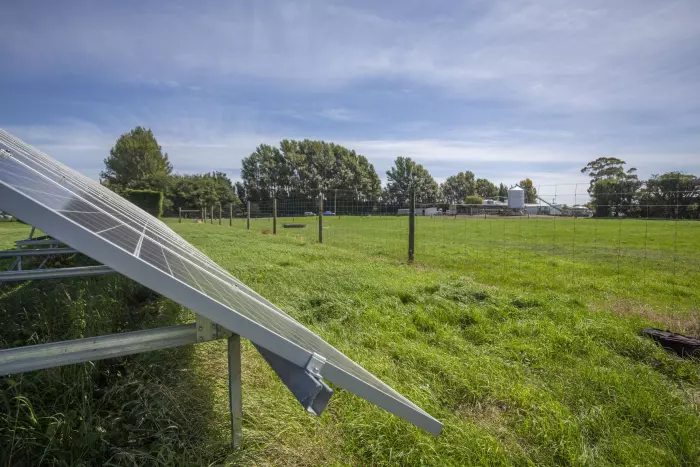 NZ green investment fund to finance dairy farm solar power