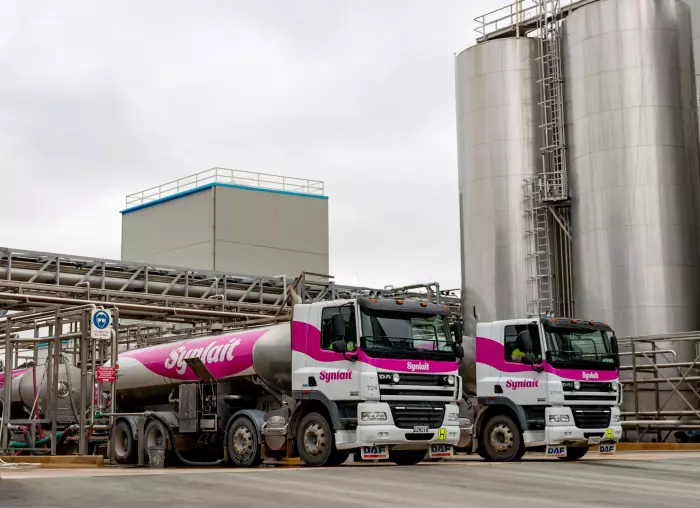 Synlait Milk reports solid lift in net profit