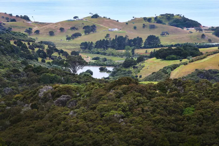 Tahi vs Tahi: Trademark dispute over skincare labelling