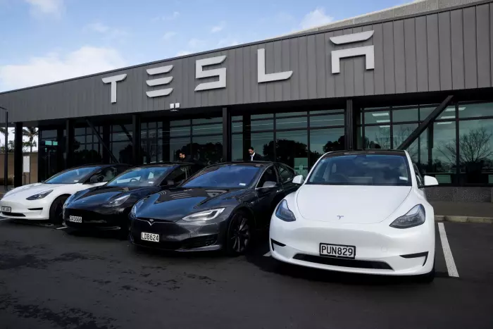 Tesla NZ's revenue fell 60% in 2024