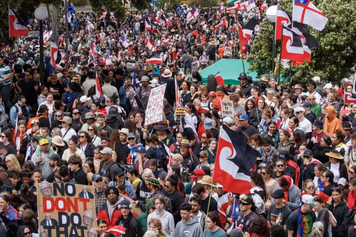 Tens of thousands descend on Wellington in historic day of mass protest