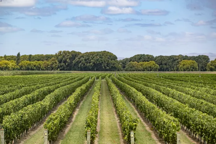 Gene sequencing technology on track for routine agriculture use