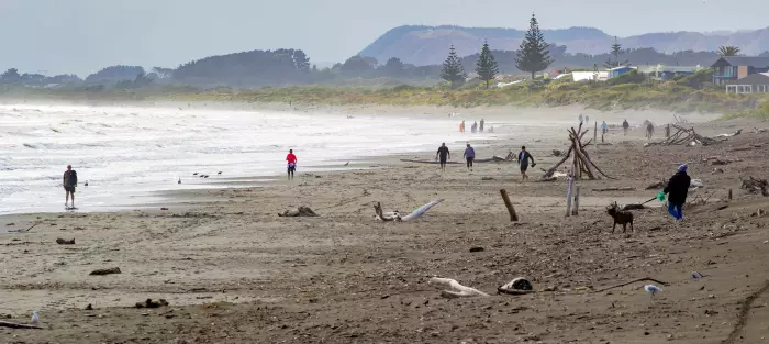 Government looks to sell 35 homes in Waikanae after developer triggers underwrite