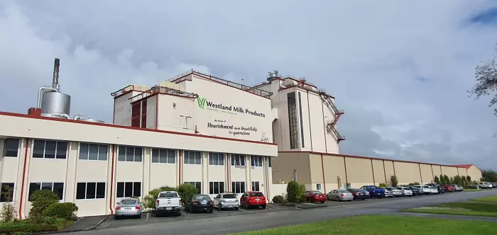 Westland Milk’s shipments up 14% on strong milk supply and product demand