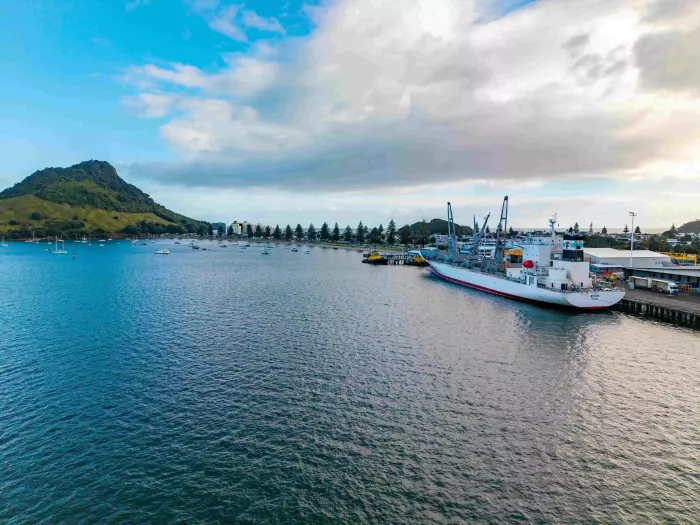 Zespri harvests record NZ crop