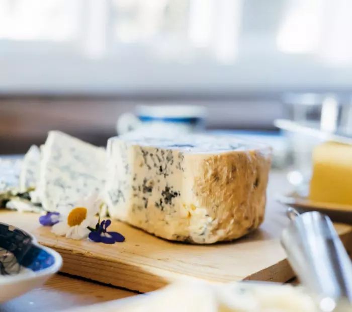 Get cultured - welcome to fromage 101, our new cheese column