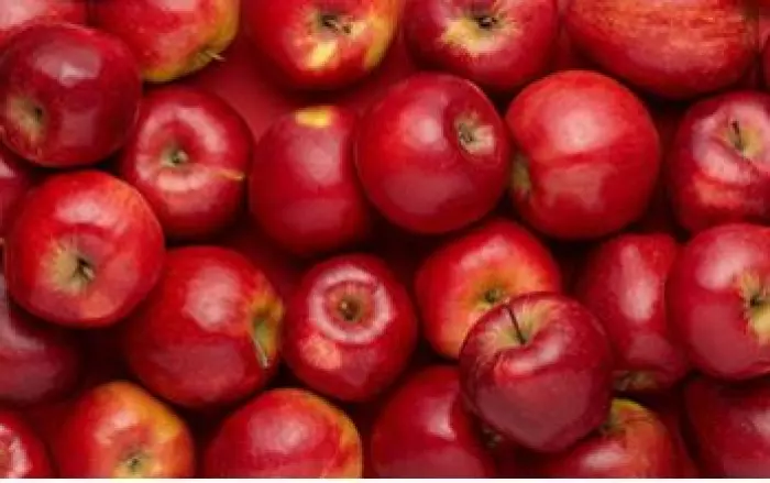 Apple exports slump due to lack of pickers