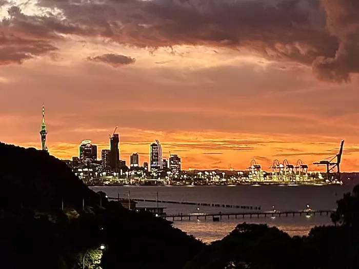 Port of Auckland beats forecast with $85.4m record profit