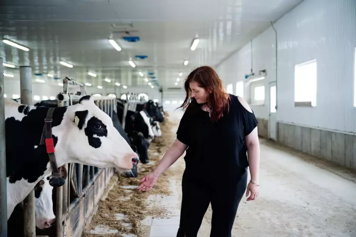 Canada insists it is meeting its dairy trade obligations