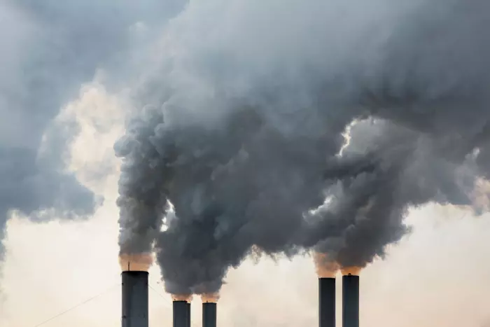 Govt carbon auction attracts no bids