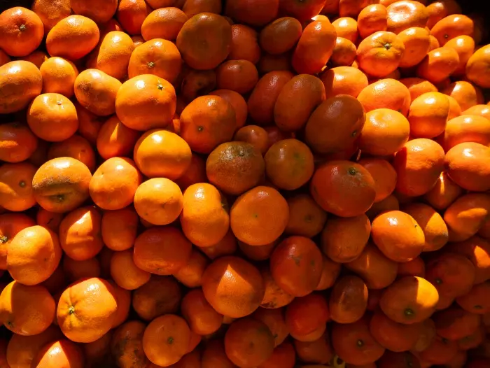 Peru citrus exports allowed into NZ for first time