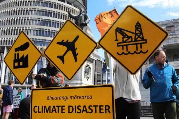 NZ’s carbon targets ignored domestic reduction potential