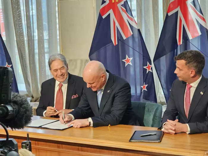Making sense of the coalition agreements