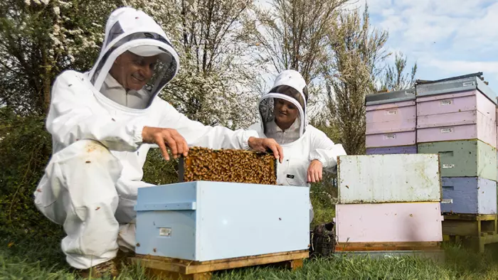 Financial probe at Comvita finds mānuka honey company overstated profit by $4m