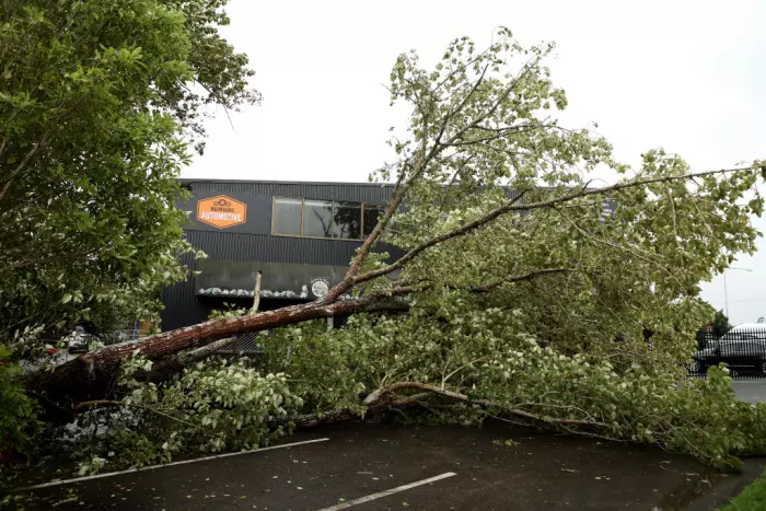 12,000 households regain power overnight in Auckland