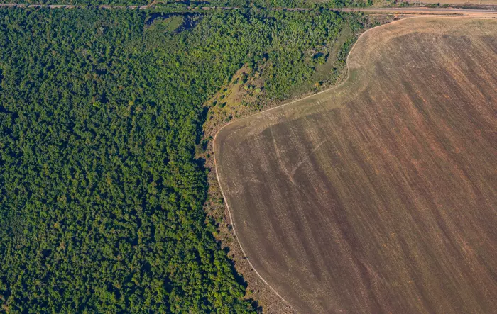 Surge in KiwiSaver investments linked to deforestation