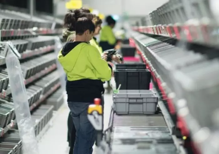 Ebos Group shares fall 14%, drags NZX 50 down 0.74%