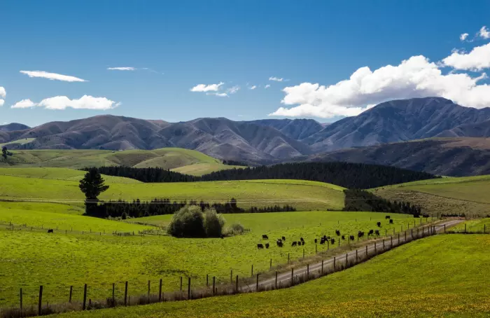 NZ Rural Land to pay inaugural dividend