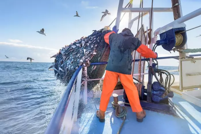 Reducing trawling impact tops transformation plan for fishing