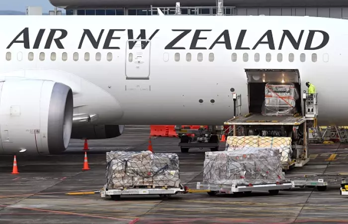Travel stocks up as NZ border reopens