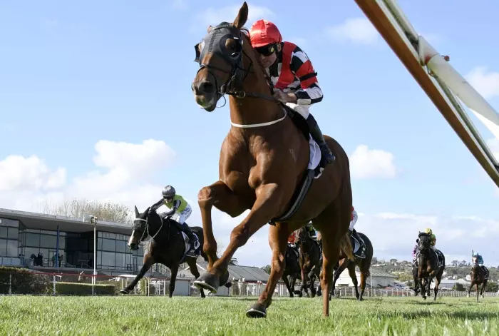 Best of BusinessDesk: Rate decision odds are tight, NZD set for a wild ride