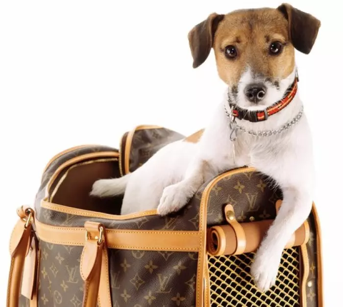 Top dog – why pet parents are the new breed of power shopper