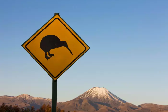 Kiwibank expects NZ dollar to weaken through 2023