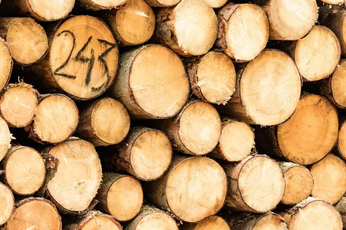 Log prices spurring recovery in regional NZ