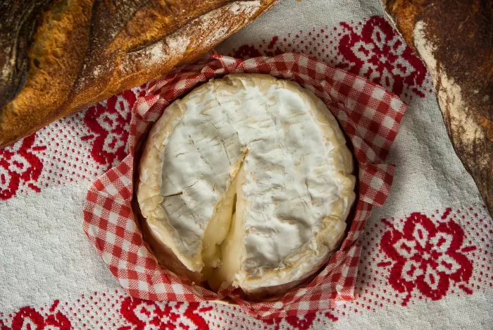 Get cultured - what you need to know about the seven types of cheese