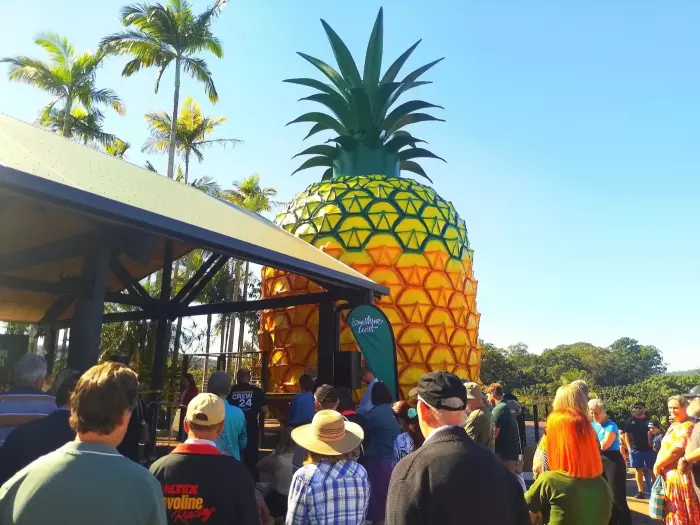 What's in a name? Du Val now Orange Pineapple