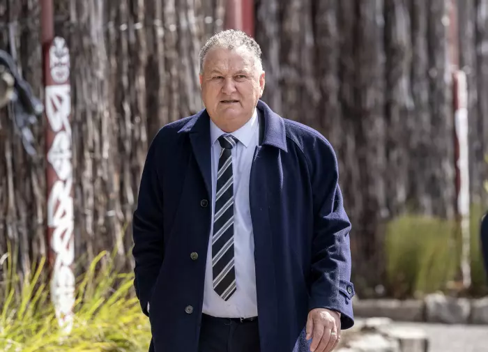 Shane Jones supports geothermal over LNG terminal to solve NZ's energy woes