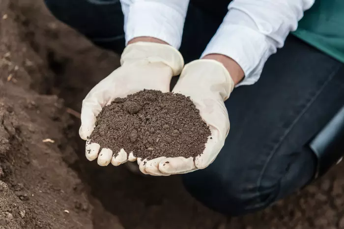 Soil is the new cash crop except in carbon-rich New Zealand