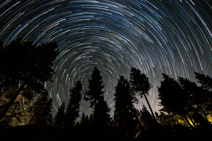The Macro Series: A North Star for New Zealand
