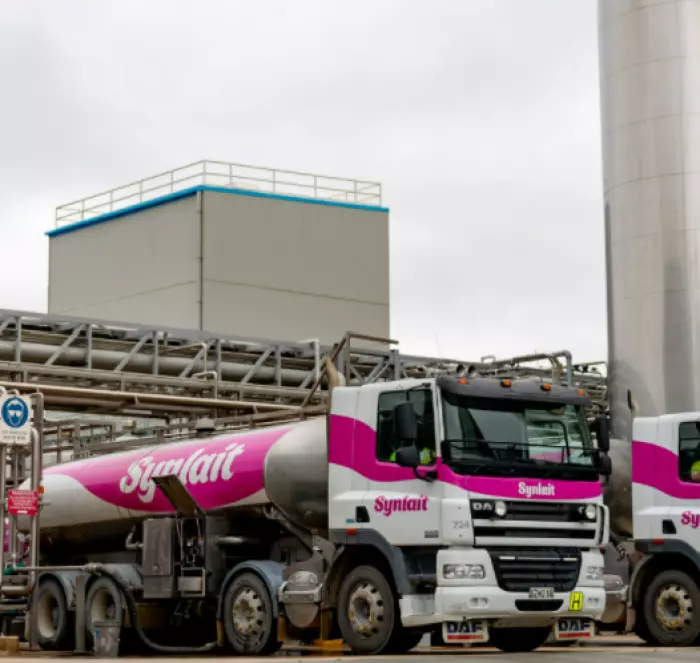 Bids for Synlait's Dairyworks reportedly not up to expectations
