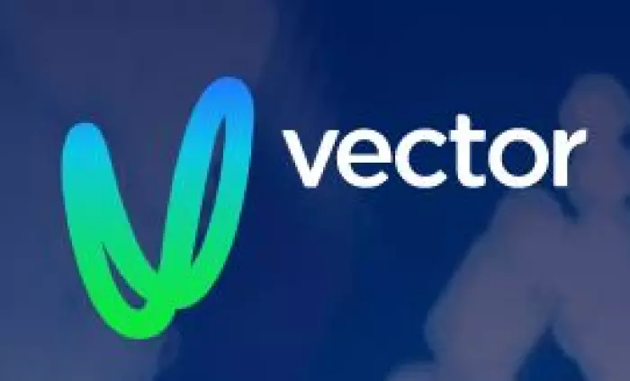 Vector reviewing future of metering business